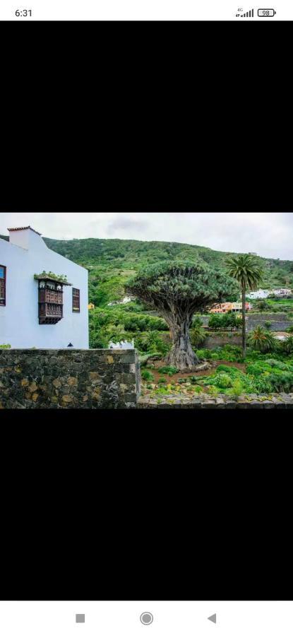 Mireya Home Icod De Los Vinos Dış mekan fotoğraf